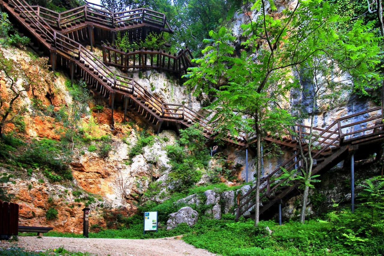 Villa Scolopax Rusticola Skradin With Heated Pool Exteriör bild